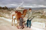 Πως βρέθηκε μια γκαμήλα με σαπούνι στους Αθηναϊκούς δρόμους τη δεκαετία ’50
